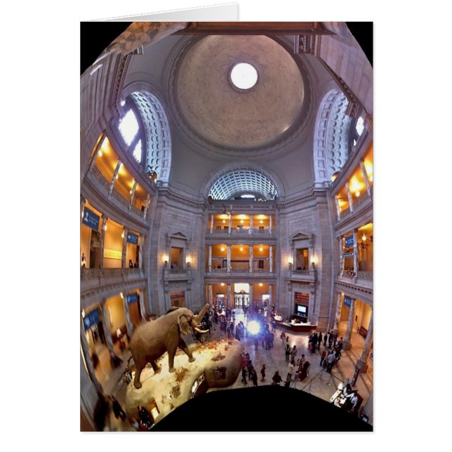 Museo de Historia Natural (Frente)