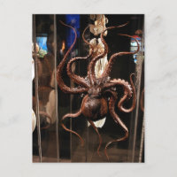 Museo de Houston de la postal de la ciencia