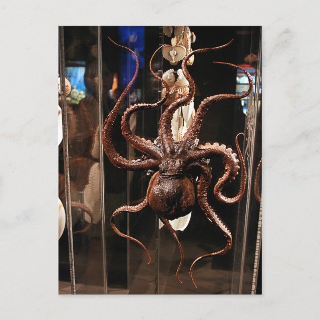 Museo de Houston de la postal de la ciencia (Anverso)