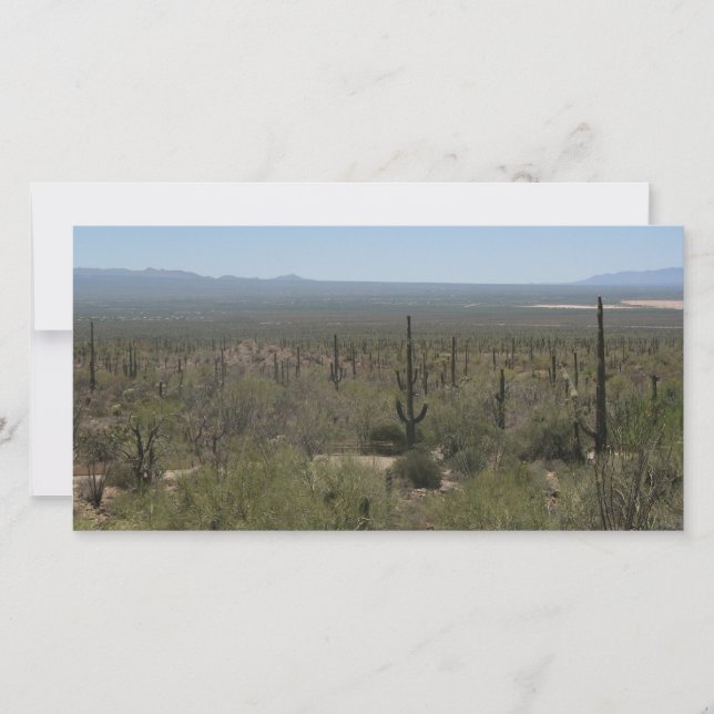 Museo del Desierto de Sonora (Anverso)