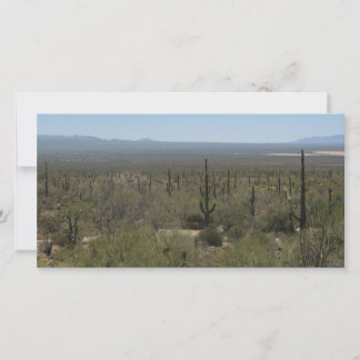 Museo del Desierto de Sonora