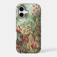 Musgos, Muscinae Laubmoose por Ernst Haeckel