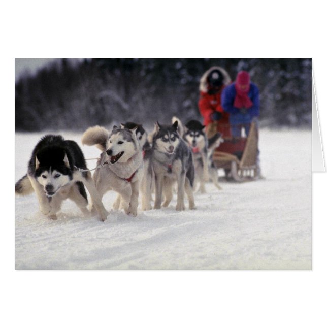 Mush (Anverso (Horizontal))