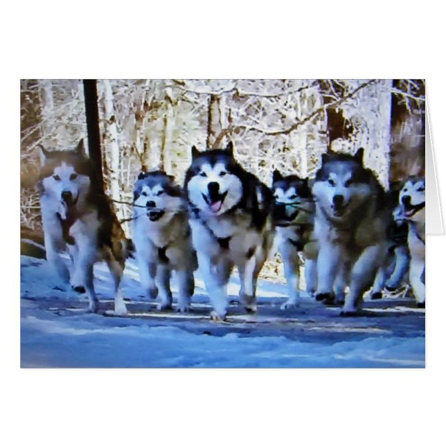 MUSH HURRAY CELEBRA QUE ES "50" (Anverso (Horizontal))
