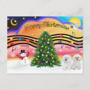 Música de Navidad 2 - Bichon Frise (dos)