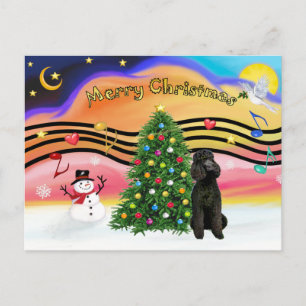 Música de Navidad 2-Caniche-Standard Negro