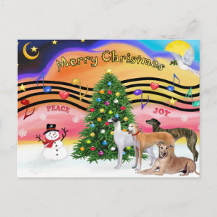 Música de Navidad 2 - Galgos (cuatro)