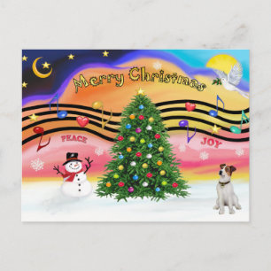 Música de Navidad 2 - Jack Russell Terrier 1