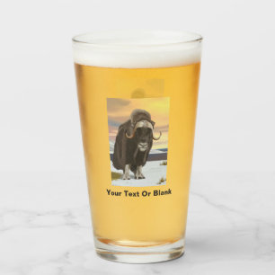 Muskox