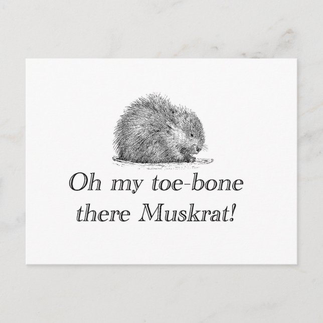 Muskrat | Tarjeta postal (Anverso)