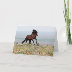 Mustang Stallion, Clancy - Tarjeta de saludo