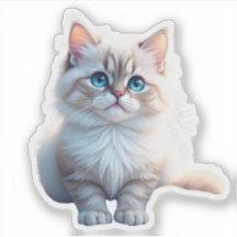 “Muy Bonito – Pegatina de Gato Divertido”