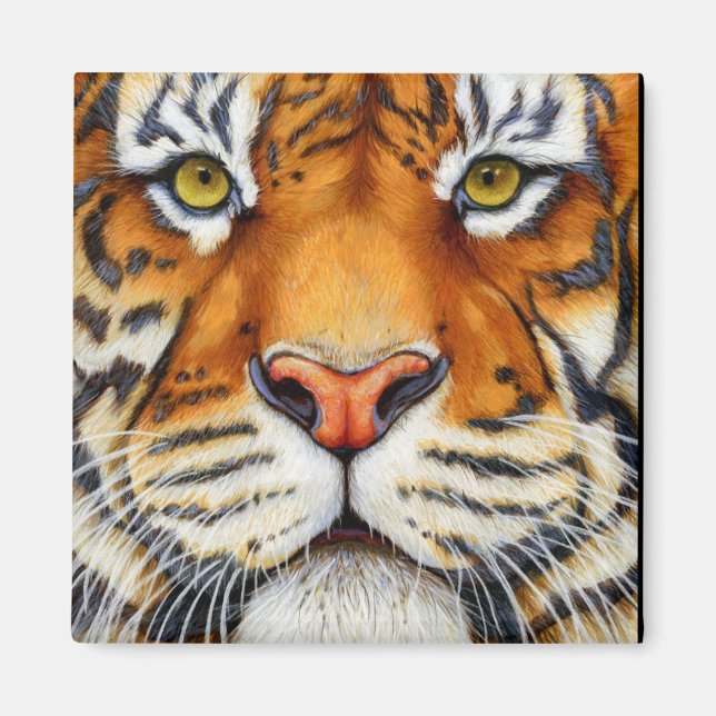 Muy cerca - El imán tigre siberiano (Frente)