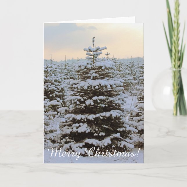 ¡Muy Hermosa Tarjeta De Saludo De Navidades! (Anverso)