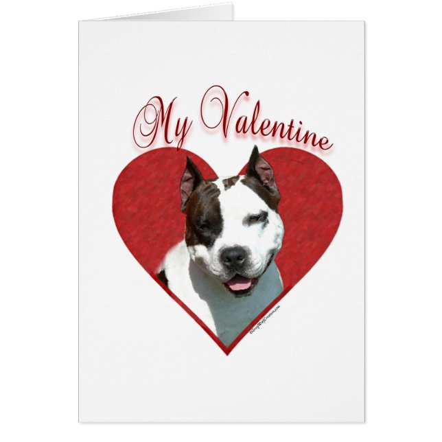 My AmStaff Valentine (Frente)
