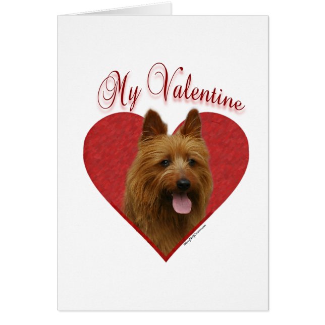 My Australian Terrier Valentine (Frente)