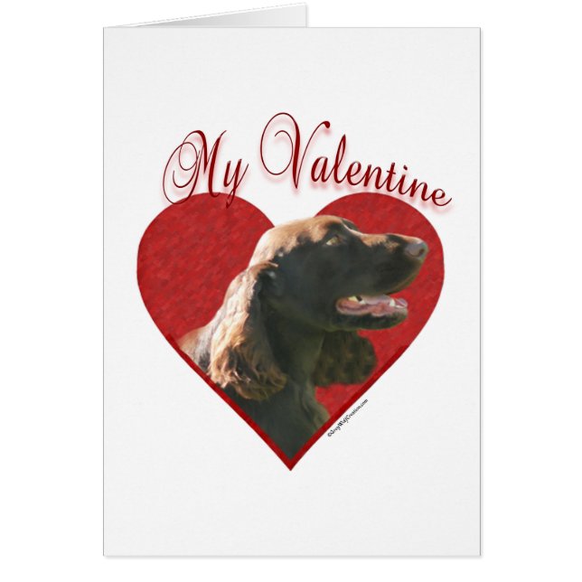 My Field Spaniel Valentine (Frente)