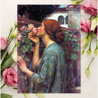 My_Sweet_Rosa