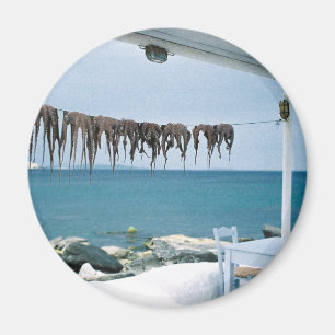 Mykonos, imán de Grecia