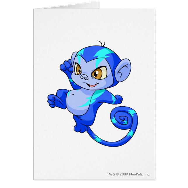 Mynci eléctrico (Frente)