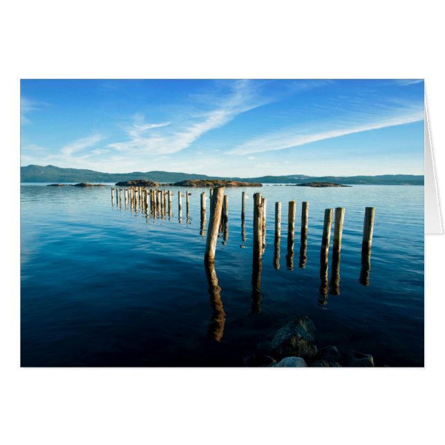 Myrtle Remnants (Anverso (Horizontal))