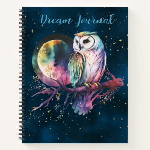 Mystical Rainbow Owl y diario celeste de luna llen