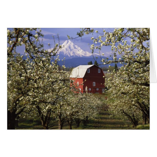 N.A., EE.UU., Oregón, Condado de Hood River. Roja (Anverso (Horizontal))