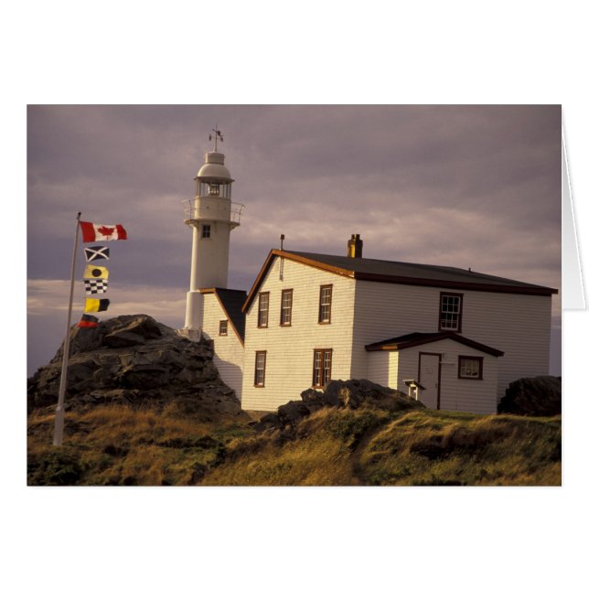 NA, Canadá, Terranova, Lobster Cove. Langosta (Anverso (Horizontal))