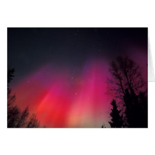 NA, EE.UU., Alaska, Fairbanks, Cortinas rosas y