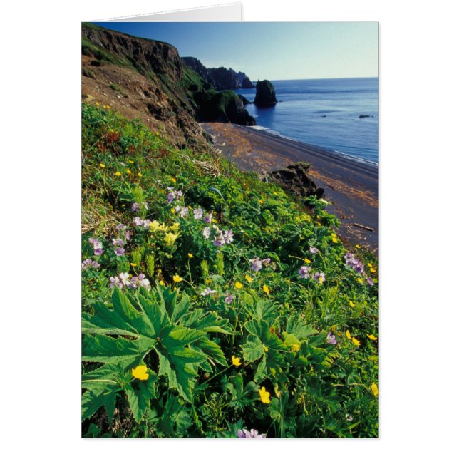 NA, EE. UU., Alaska, Islas Semidi, Flores silvestr (Frente)