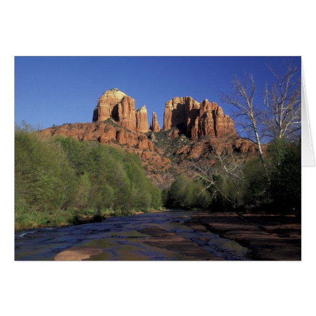 NA, EE.UU., Arizona, Sedona. Rock y roble de la ca (Anverso (Horizontal))