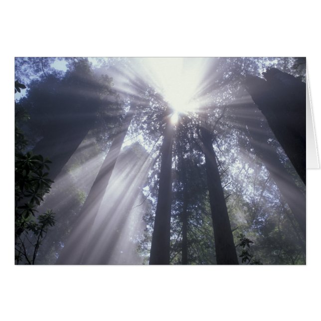 NA, EE.UU., California. Estado costero del Norte 2 (Anverso (Horizontal))