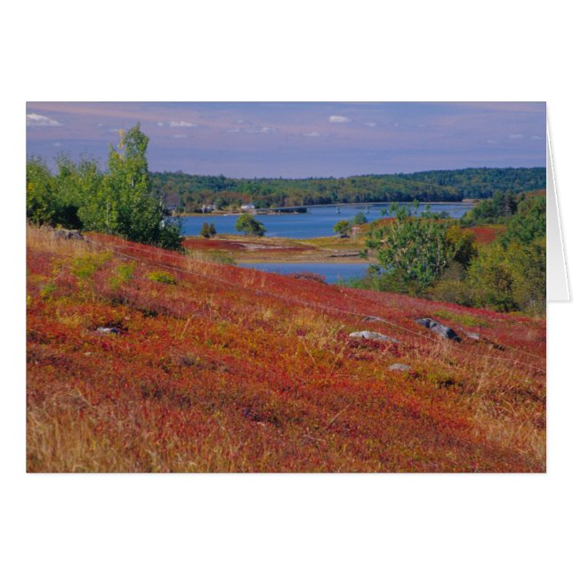 NA, EE. UU., Maine. Páramos de Arándanos. (Anverso (Horizontal))
