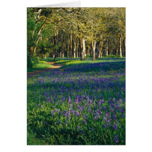 NA, EE.UU., Oregón, Salem. Campo y 3