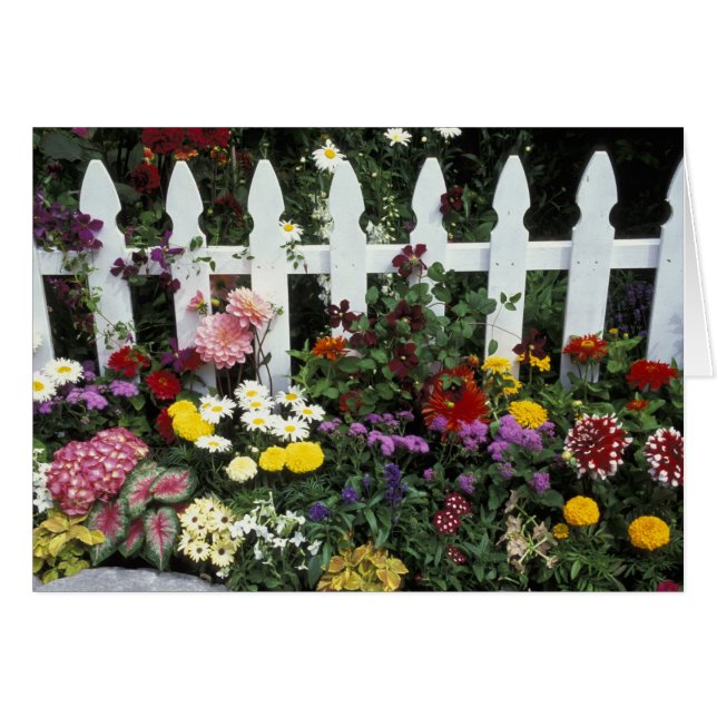 NA, EE.UU., Washington, Sammamish, piquete blanco (Anverso (Horizontal))