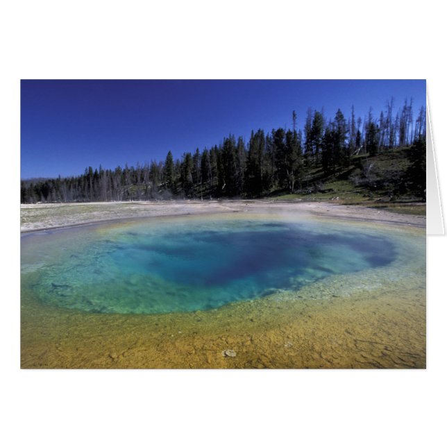 NA, EE.UU., Wyoming, Parque Nacional Yellowstone.  (Anverso (Horizontal))