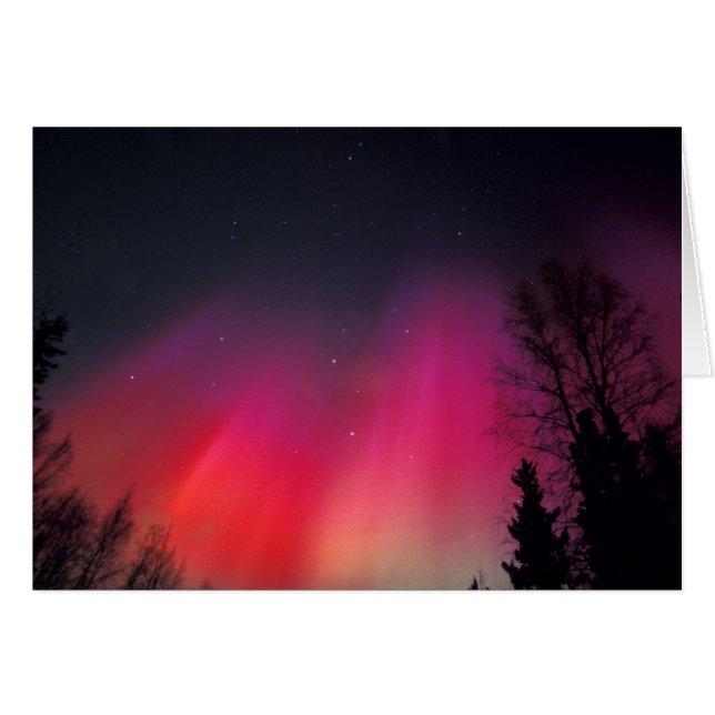 NA, USA, Alaska, Fairbanks, Cortinas de rosa y (Anverso (Horizontal))