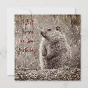 Nacimiento de bebé en cumpleaños en blanco y negro