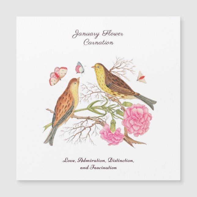 Nacimiento de enero Regalo de cumpleaños de las fl (Anverso)