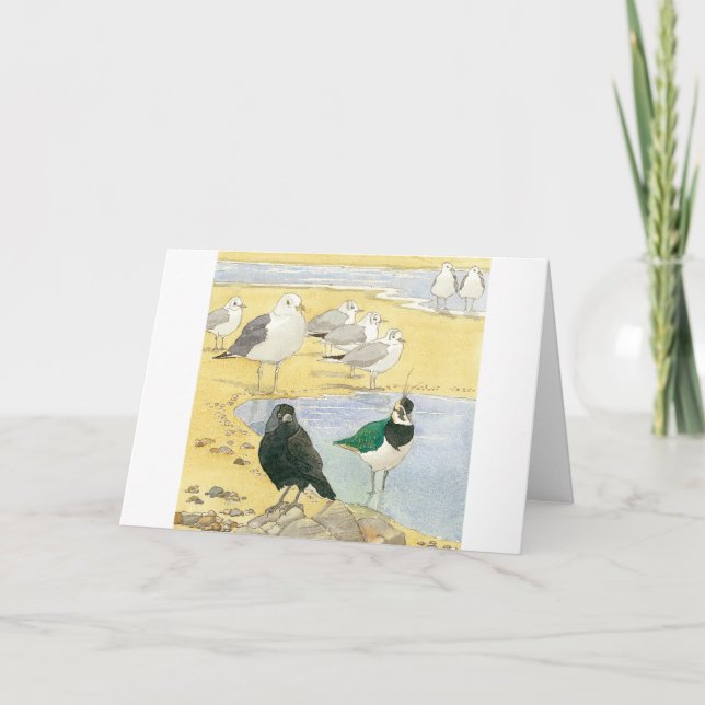 Nacimiento del Ave Marítimo Jackdaw Tarjeta Natura (Anverso)