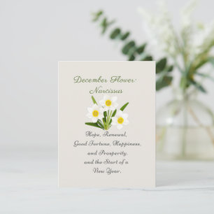 Nacimiento Diciembre Mes Flor Narcissus Elegante