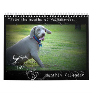 Nación de Weimaraner: Calendario de la cita