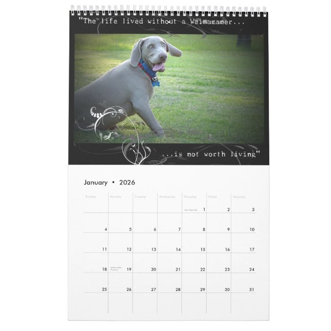 Nación de Weimaraner: Calendario de la cita (Jan 2026)