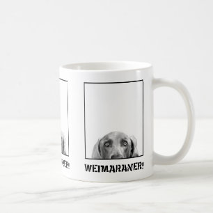Nación de Weimaraner: Weimaraner en una taza de la