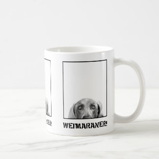 Nación de Weimaraner: Weimaraner en una taza de la