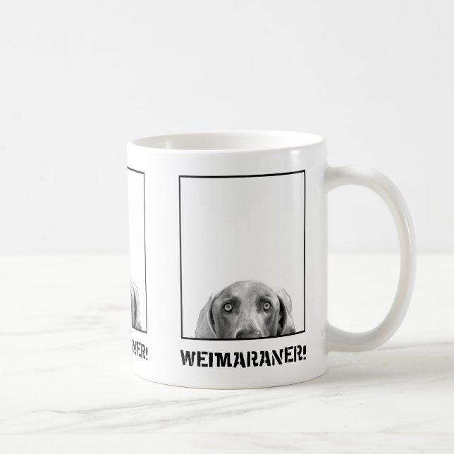 Nación de Weimaraner: Weimaraner en una taza de la (Derecha)