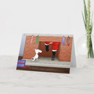 Nada empalma el navidad de bull terrier