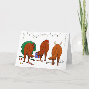 Nada empalma el navidad de Irish Setter
