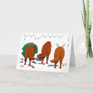 Nada empalma el navidad de Irish Setter