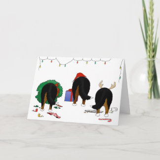 Nada empalma el navidad de un Berner